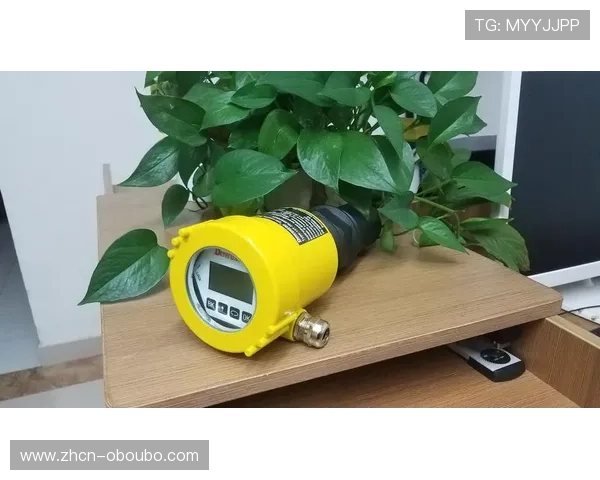 欧博官网登录入口出现问题时的应急处理步骤与技术支持指南 欧博官网登录入口出现问题时的应急处理步骤与技术支持指南