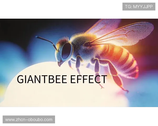 欧博官网入口安全认证流程详解提升网站可信度和用户信任度